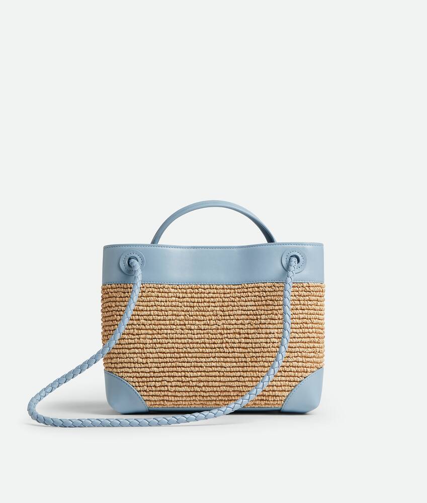 BOTTEGA VENETA 小号Andiamo手提包