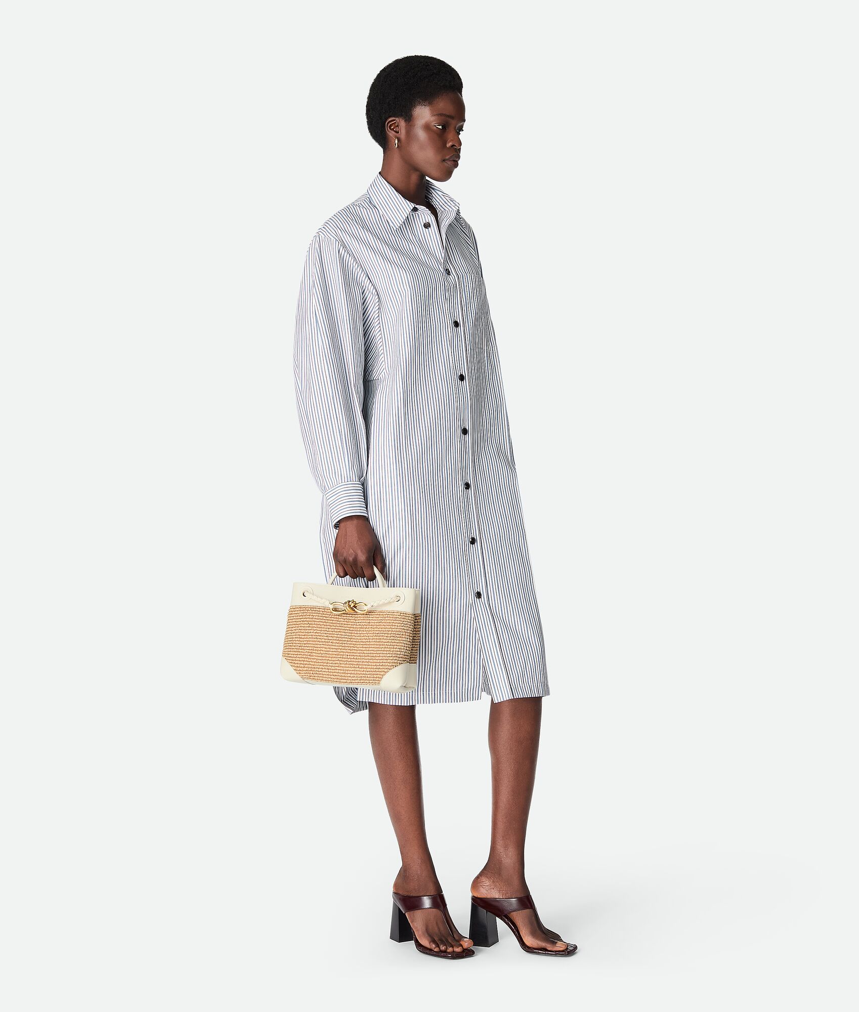 BOTTEGA VENETA Andiamo小号手提包