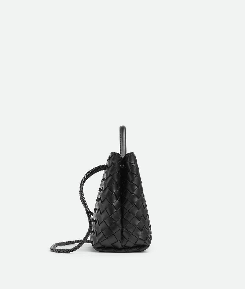 BOTTEGA VENETA 小号Andiamo手提包